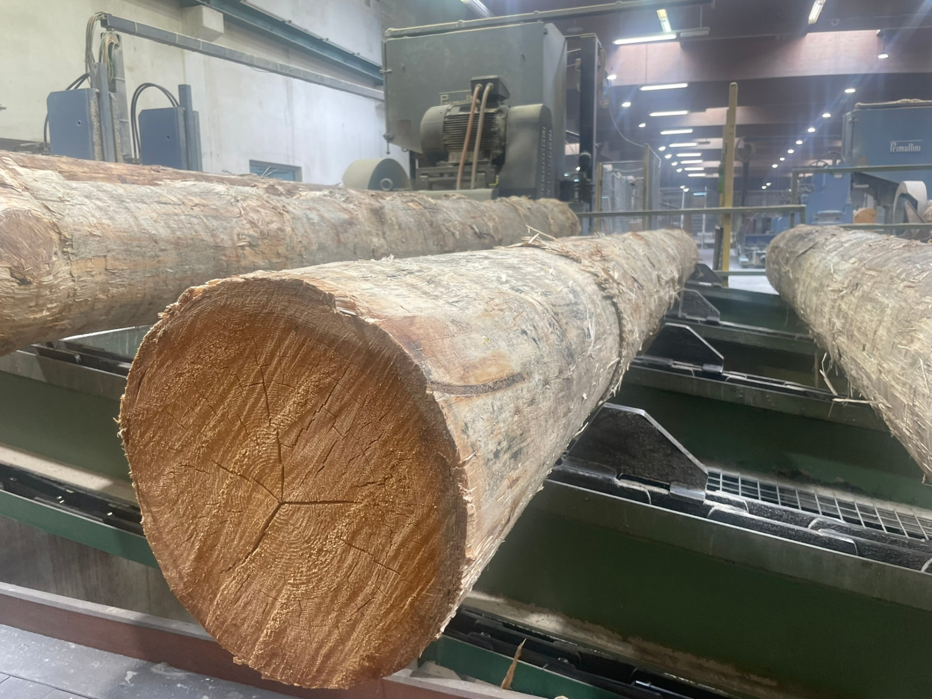 Odkorněná smrková kulatina na dopravníku před pořezem v hale pily LESS & TIMBER